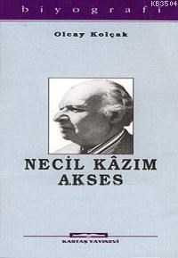 Necil Kazım Akses (ISBN: 9789752820875)