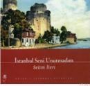 ISTANBUL SENI UNUTMADIM (ISBN: 9789753293433)