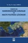 Türkiye'de Makroekonomik Sorunlar ve Maliye Politikası Çözümleri (ISBN: 9786053270089)