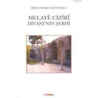 Melaye Ciziri Divanın Şerhi (ISBN: 3002784100109)