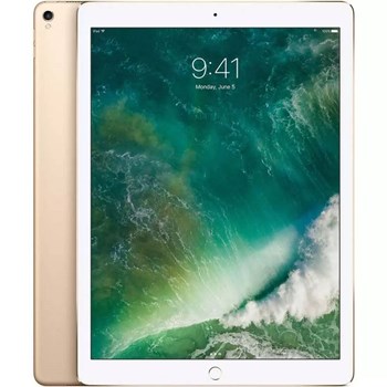 Apple iPad Pro 12.9 256 GB Wi-Fi Tablet PC Altın Sarı
