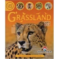 Life Cycles Granssland (ISBN: 9786055464769)