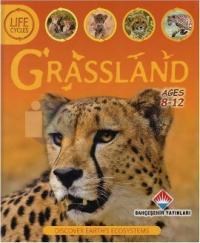 Life Cycles Granssland (ISBN: 9786055464769)