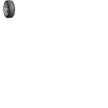 Nexen 225/55 R17 101V Winguard Sport 2 Kış Lastiği