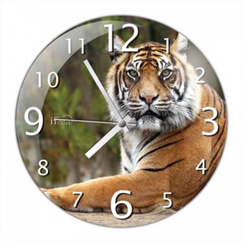 iF Clock Kaplan Duvar Saati (Z3)