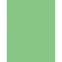 Colorama Summer Green Kağıt Fon 25032485