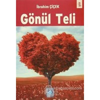 Gönül Teli (ISBN: 9786054425679)