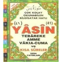 Yasin-i Şerif (ISBN: 3002817100729)