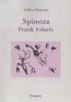 Spinoza (ISBN: 9789758686223)