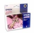 Epson T03364020