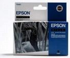 Epson T048140