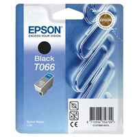 Epson T066140