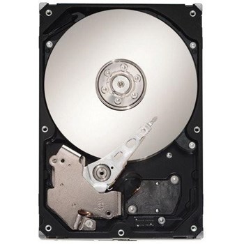 Seagate 750GB ST3750525AS
