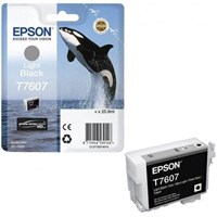Epson C13T76074010 Açık Siyah Kartuş