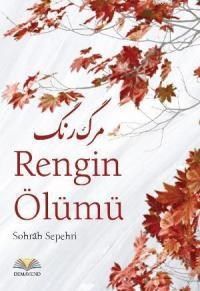 Rengin Ölümü (ISBN: 9786055861581)