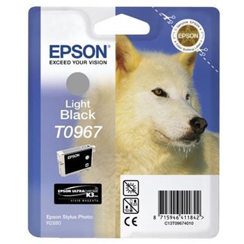 Epson Stylus Photo R2880 Lıght Black Kartuş