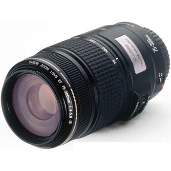 Canon EF 70-300mm f/4-5.6 IS USM