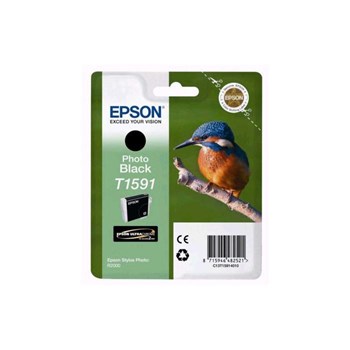 Epson Sty Photo R2000 Photo Black Kartuş