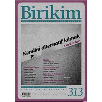 Biriki Sayı: 313 (ISBN: 9771300833131)