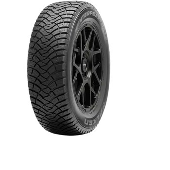 Falken 215/65 R16 102T Winter Peak F Ice 1 Kış Lastiği