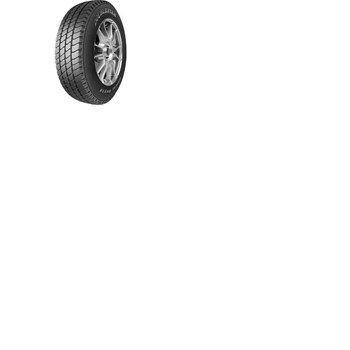 Double Star 205/65 R16 107T DS838 Kış Lastiği