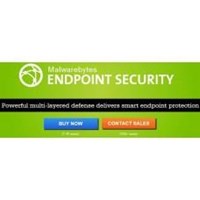 Malwarebytes Endpoint Security Lisansı (1 Yıl, 1 Pc)
