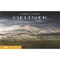 Qelinek (ISBN: 9789753444657)