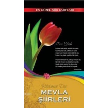 Rabbimize Dair Mevla Şiirleri (ISBN: 9789758540475)