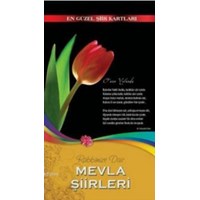 Rabbimize Dair Mevla Şiirleri (ISBN: 9789758540475)