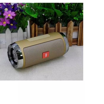 Charger +1 10W Bluetooth Speaker Gold