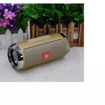 Charger +1 10W Bluetooth Speaker Gold