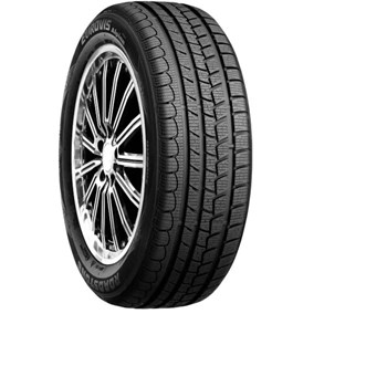 Roadstone 205/65 R15 94H Eurovis Alpine WH1 Kış Lastiği