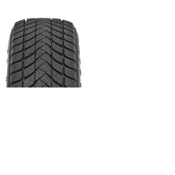 Landsail 195/55 R15 85H Winter Lander Kış Lastiği