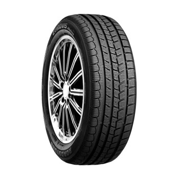 Roadstone 195/55 R16 87T Eurovis Alpine WH1 Kış Lastiği