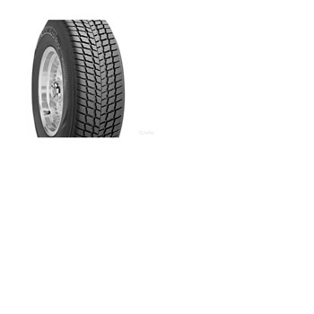 Roadstone 255/55 R18 109V XL Winguard SUV Kış Lastiği