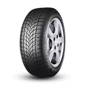 Dayton 205/50 R17 93V XL DW510 Evo Kış Lastiği