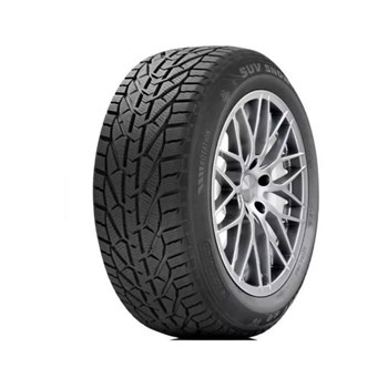 Taurus 225/45 R18 95V XL Winter Kış Lastiği